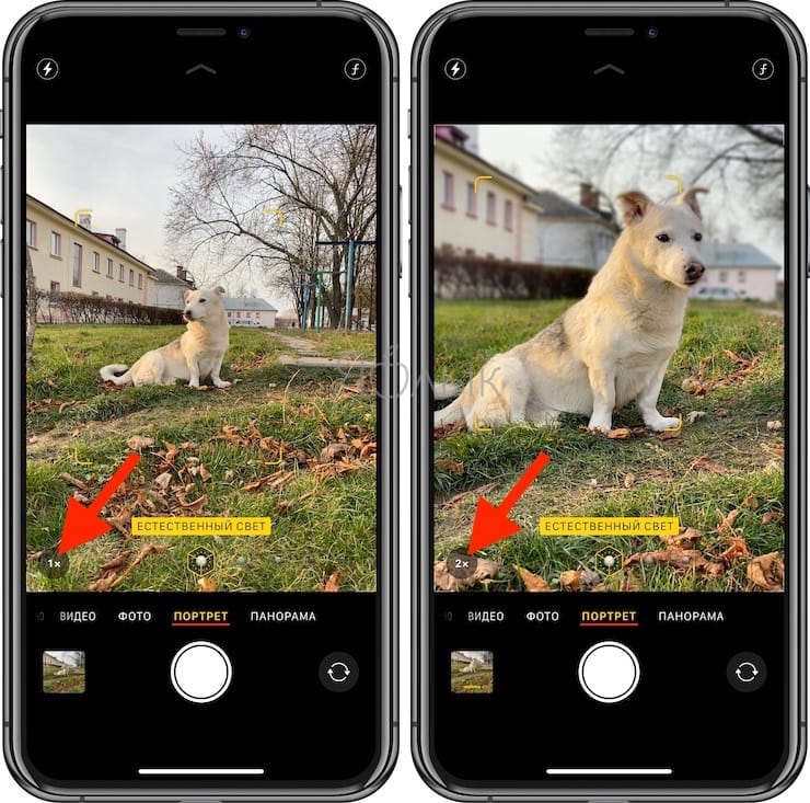 Ưu điểm của camera 0.5x trên iPhone 11